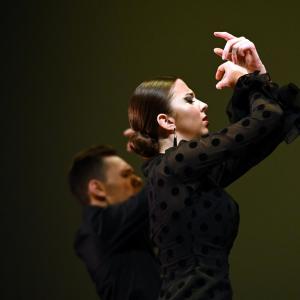 Fotografía de Concurso de Coreografías. Nivel II - Conservatorio de Danza