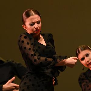 Fotografía de Concurso de Coreografías. Nivel II - Conservatorio de Danza