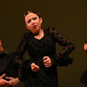 Fotografía de Concurso de Coreografías. Nivel II - Conservatorio de Danza