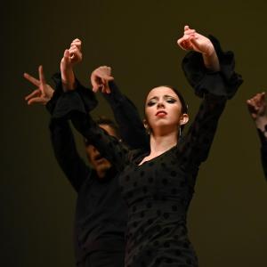 Fotografía de Concurso de Coreografías. Nivel II - Conservatorio de Danza