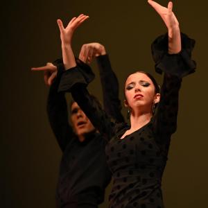 Fotografía de Concurso de Coreografías. Nivel II - Conservatorio de Danza