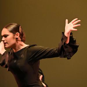 Fotografía de Concurso de Coreografías. Nivel II - Conservatorio de Danza