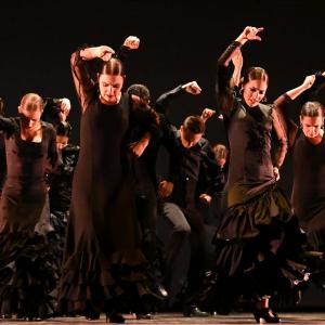 Fotografía de Concurso de Coreografías. Nivel II - Conservatorio de Danza