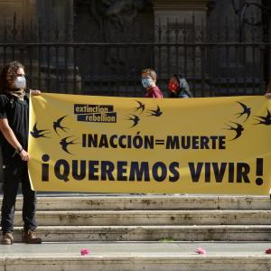 Fotografía de Extinction Rebellion (XR) Acción en Granada - 