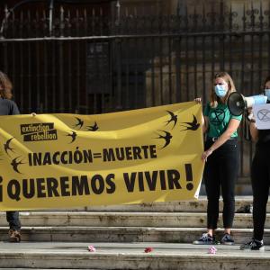 Fotografía de Extinction Rebellion (XR) Acción en Granada - 