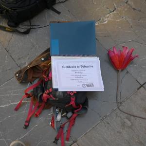 Fotografía de Extinction Rebellion (XR) Acción en Granada - 