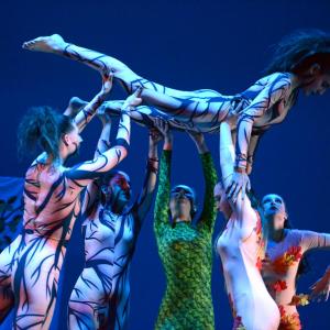 Fotografía de Concurso coreográfico enseñanzas profesionales. Nivel 1 - Conservatorio de Danza