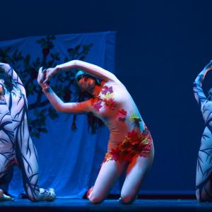 Fotografía de Concurso coreográfico enseñanzas profesionales. Nivel 1 - Conservatorio de Danza