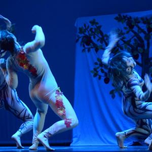 Fotografía de Concurso coreográfico enseñanzas profesionales. Nivel 1 - Conservatorio de Danza