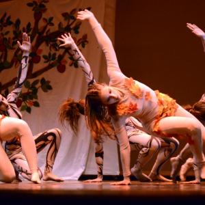 Fotografía de Concurso coreográfico enseñanzas profesionales. Nivel 1 - Conservatorio de Danza