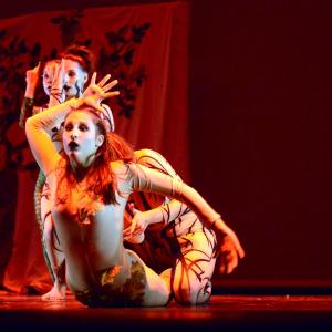 Fotografía de Concurso coreográfico enseñanzas profesionales. Nivel 1 - Conservatorio de Danza