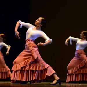 Fotografía de Concurso coreográfico enseñanzas profesionales. Nivel 1 - Conservatorio de Danza