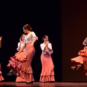 Fotografía de Concurso coreográfico enseñanzas profesionales. Nivel 1 - Conservatorio de Danza