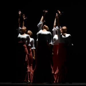 Fotografía de Concurso coreográfico enseñanzas profesionales. Nivel 1 - Conservatorio de Danza