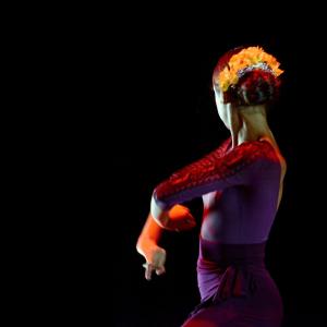 Fotografía de Concurso coreográfico enseñanzas profesionales. Nivel 1 - Conservatorio de Danza
