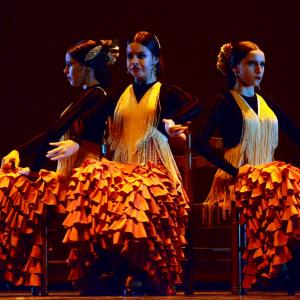 Fotografía de Concurso coreográfico enseñanzas profesionales. Nivel 1 - Conservatorio de Danza