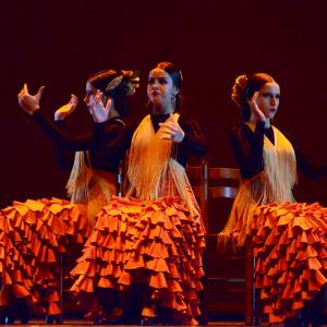 Fotografía de Concurso coreográfico enseñanzas profesionales. Nivel 1 - Conservatorio de Danza