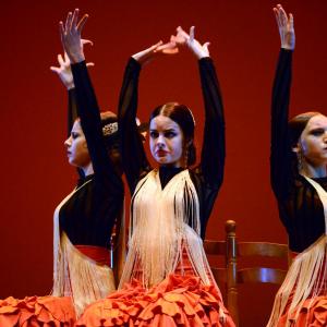 Fotografía de Concurso coreográfico enseñanzas profesionales. Nivel 1 - Conservatorio de Danza