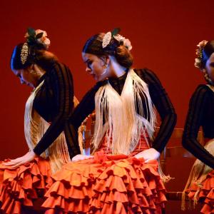 Fotografía de Concurso coreográfico enseñanzas profesionales. Nivel 1 - Conservatorio de Danza