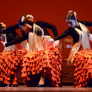 Fotografía de Concurso coreográfico enseñanzas profesionales. Nivel 1 - Conservatorio de Danza
