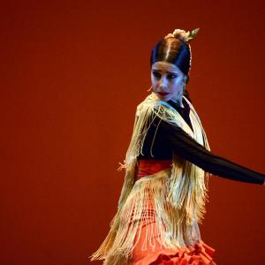 Fotografía de Concurso coreográfico enseñanzas profesionales. Nivel 1 - Conservatorio de Danza