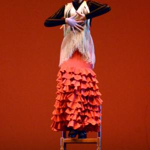 Fotografía de Concurso coreográfico enseñanzas profesionales. Nivel 1 - Conservatorio de Danza