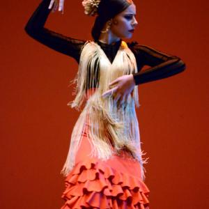 Fotografía de Concurso coreográfico enseñanzas profesionales. Nivel 1 - Conservatorio de Danza