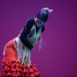 Fotografía de Concurso coreográfico enseñanzas profesionales. Nivel 1 - Conservatorio de Danza