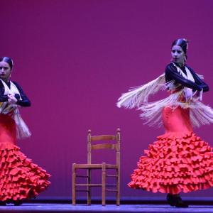 Fotografía de Concurso coreográfico enseñanzas profesionales. Nivel 1 - Conservatorio de Danza