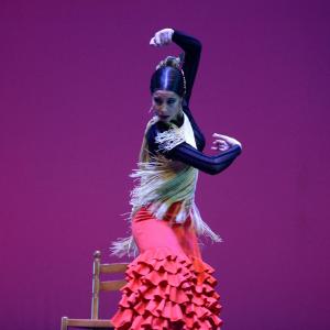 Fotografía de Concurso coreográfico enseñanzas profesionales. Nivel 1 - Conservatorio de Danza