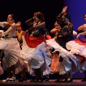 Fotografía de Concurso coreográfico enseñanzas profesionales. Nivel 1 - Conservatorio de Danza