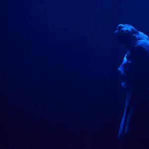 Fotografía de Clowns - Conservatorio de Danza