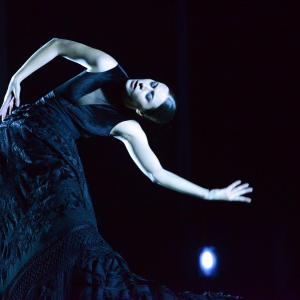 Fotografía de Más tiempo que vida - Conservatorio de Danza
