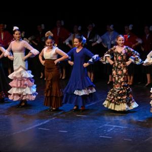 Fotografía de Gala Folklore - Conservatorio de Danza