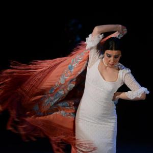 Fotografía de Sueños - Rosa Zárate