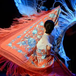 Fotografía de Sueños - Rosa Zárate