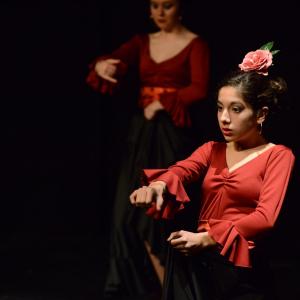 Fotografía de Sueños - Rosa Zárate