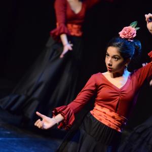 Fotografía de Sueños - Rosa Zárate