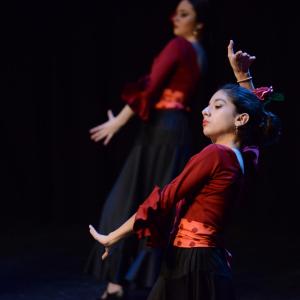 Fotografía de Sueños - Rosa Zárate