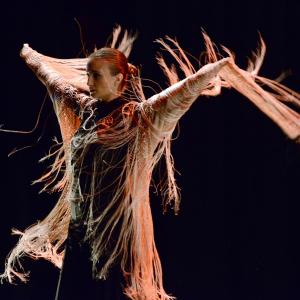 Fotografía de Sueños - Rosa Zárate