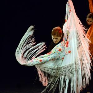 Fotografía de Sueños - Rosa Zárate