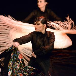Fotografía de Sueños - Rosa Zárate
