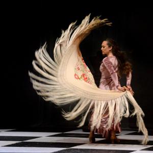 Fotografía de La jugada del sacrificio - Cía Christina Pagés