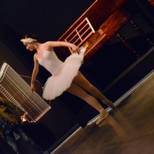 Fotografía de Andanzas por el museo - Conservatorio de Danza