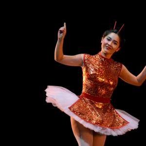 Fotografía de Cascanueces - Conservatorio de Danza