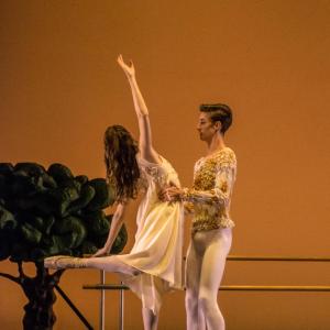Fotografía de Cascanueces (segunda galería) - Conservatorio de Danza