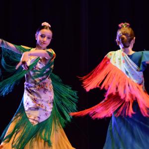 Fotografía de La Gitanilla, estreno - Conservatorio de Danza