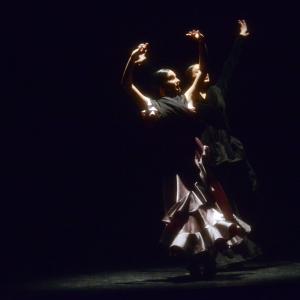 Fotografía de La Gitanilla - Conservatorio de Danza