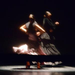 Fotografía de La Gitanilla - Conservatorio de Danza