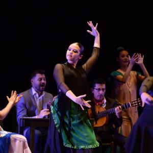 Fotografía de La Gitanilla - Conservatorio de Danza